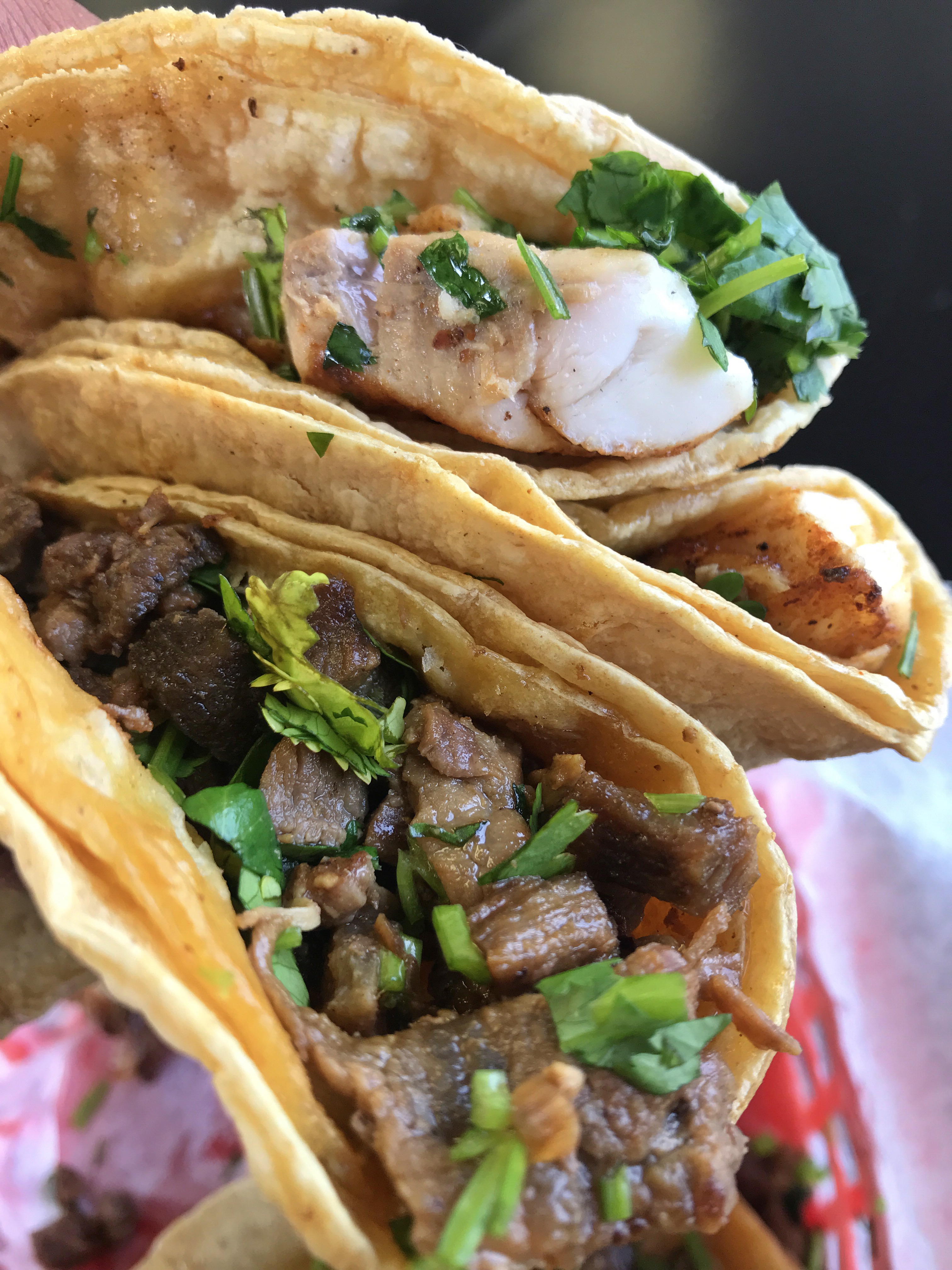 Always in the mood for tacos - Pacos Taqueria - EatHere